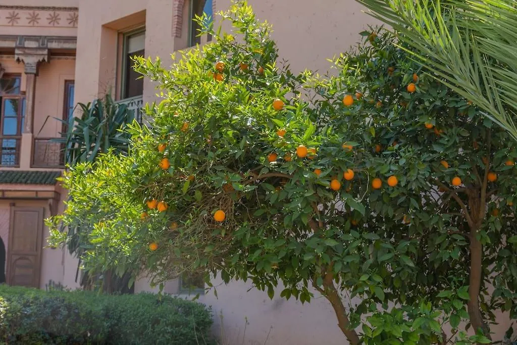 Serenity In La Palmeraie: 2-Bed Apartment 马拉喀什 0*,  摩洛哥